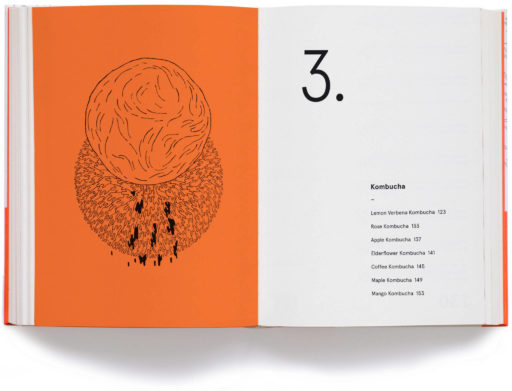 The Noma Guide to Fermentation | Paula Troxler
